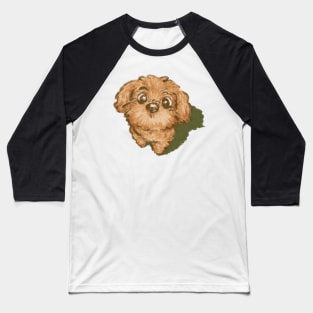 Toy poodle looking up Baseball T-Shirt